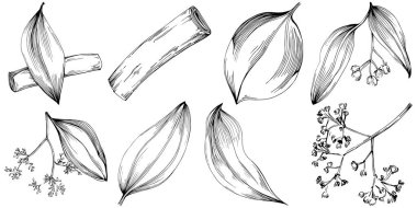 Çiçek ağacı yapraklarının vektör çizimini ayarla, siyah ve beyaz klipsli sanat 