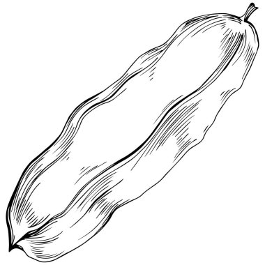 Keçiboynuzu silueti orman yaprakları izole. Siyah beyaz klip sanatı izole edildi.