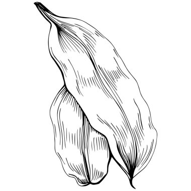 Keçiboynuzu silueti orman yaprakları izole. Siyah beyaz klip sanatı izole edildi.