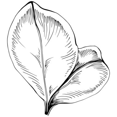 Keçiboynuzu silueti orman yaprakları izole. Siyah beyaz klip sanatı izole edildi.