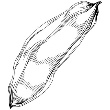 Keçiboynuzu silueti orman yaprakları izole. Siyah beyaz klip sanatı izole edildi.