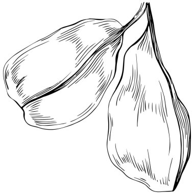 Keçiboynuzu silueti orman yaprakları izole. Siyah beyaz klip sanatı izole edildi.