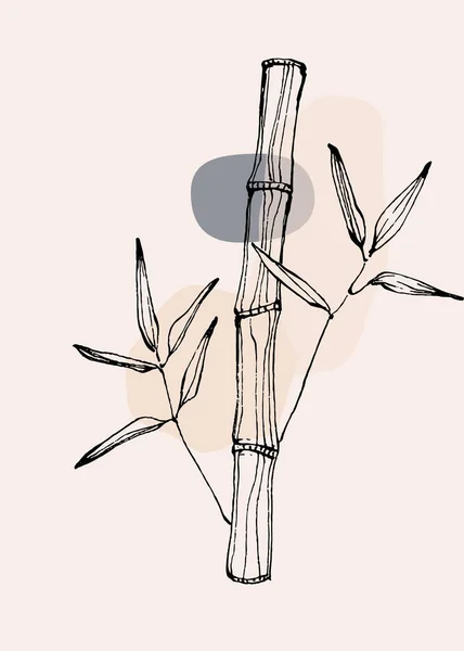 Φυτό Μπαμπού Ζωγραφικό Σκίτσο Στο Χέρι Floral Δέντρο Κλιπ Τέχνης — Διανυσματικό Αρχείο