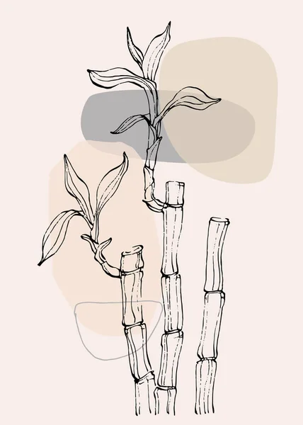 Bambu Tanaman Gambar Tangan Sketsa Seni Klip Pohon Floral Ilustrasi - Stok Vektor