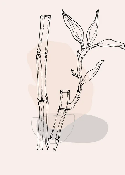 Bambusová Rostlina Ručně Kreslený Náčrt Květinové Stromové Klipy Vektorové Ilustrace — Stockový vektor