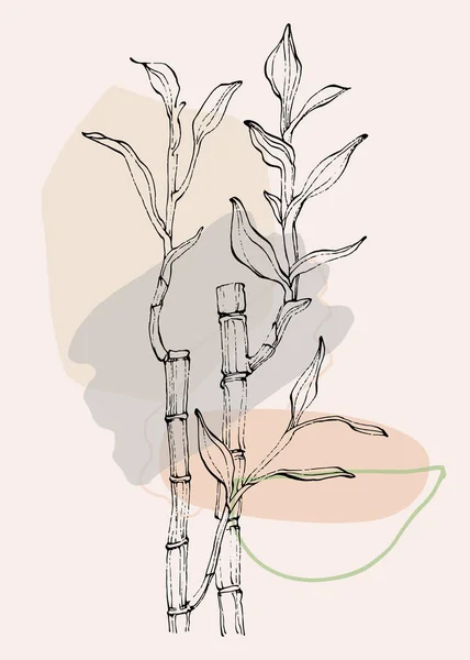 Bamboe Plant Handtekening Schets Bloemen Clip Art Vector Illustratie — Stockvector