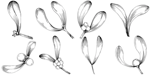 Egyszerű Rajz Vázlat Fekete Fehér Clip Art Virágos Levelek Gyümölcsök — Stock Vector