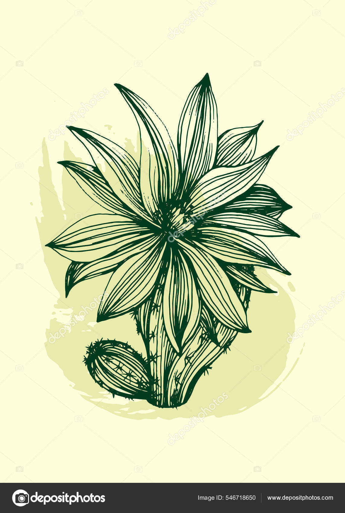 Esboço de cacto para tatuagem de plantas suculentas florais