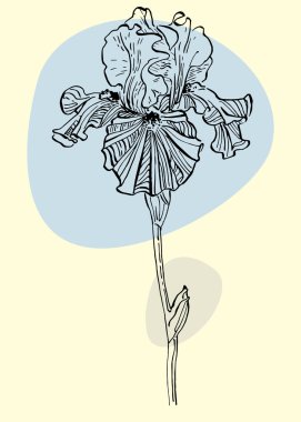 Botanik duvar sanatı taşıyıcısı. Soyut şekilli boho yaprak çizimi çizimi. Baskı, kapak, duvar kağıdı, asgari ve doğal duvar sanatı için bitki tasarımı çiz.