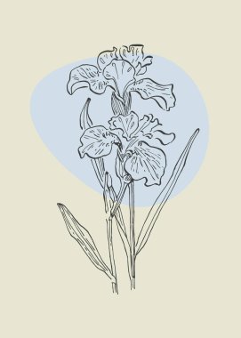 Botanik duvar sanatı taşıyıcısı. Soyut şekilli boho yaprak çizimi çizimi. Baskı, kapak, duvar kağıdı, asgari ve doğal duvar sanatı için bitki tasarımı çiz.