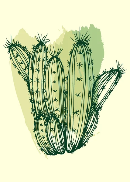 Kaktusz Botanikus Fali Vektora Virágos Zamatos Növények Boho Lombozat Vonal — Stock Vector