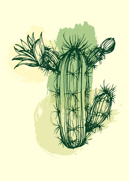 サボテンの植物壁アートベクトル 花の多肉植物 Boo抽象的な形状の線画を葉 アブストラクト印刷 カバー 最小限と自然壁のアートのための植物アートデザイン — ストックベクタ