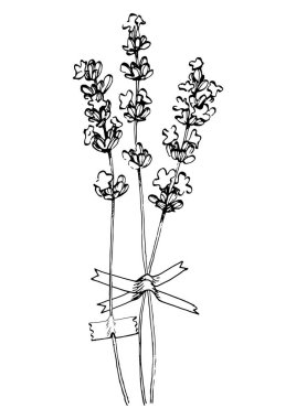 Moda renklerinde çağdaş sanat lavantası çiçek posterleri. Soyut el çiçekleri, geometrik elementleri ve vuruşları, yaprakları ve çiçekleri çizer. 