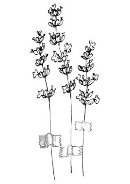 Moda renklerinde çağdaş sanat lavantası çiçek posterleri. Soyut el çiçekleri, geometrik elementleri ve vuruşları, yaprakları ve çiçekleri çizer. 