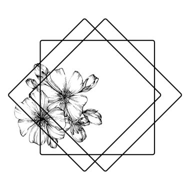 El çizimi Sakura çiçek logosu, çerçeve, sınır, promosyon unsuru. Damga şablonu. Minimalist monogram. Rustik zarif marka veya logottip arkaplan.