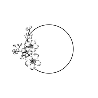 El çizimi Sakura çiçek logosu, çerçeve, sınır, promosyon unsuru. Damga şablonu. Minimalist monogram. Rustik zarif marka veya logottip arkaplan.