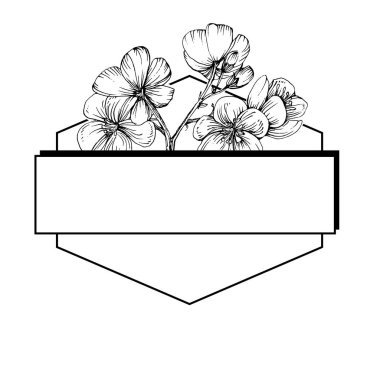 El çizimi Sakura çiçek logosu, çerçeve, sınır, promosyon unsuru. Damga şablonu. Minimalist monogram. Rustik zarif marka veya logottip arkaplan.