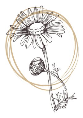 Moda renklerinde çağdaş sanat çiçekli posterler. Soyut el çiçekleri, geometrik elementleri ve vuruşları, yaprakları ve çiçekleri çizer. 