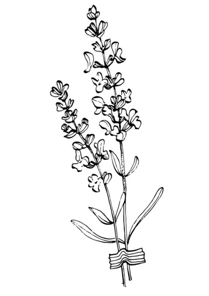 Сучасне Мистецтво Лаванди Квіткові Плакати Модних Кольорах Абстрактний Малюнок Рук — стоковий вектор
