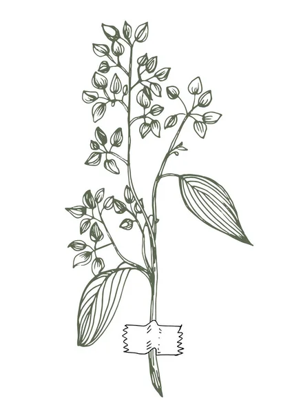Διανυσματική Απεικόνιση Κλαδιού Δέντρου Φύλλα — Διανυσματικό Αρχείο