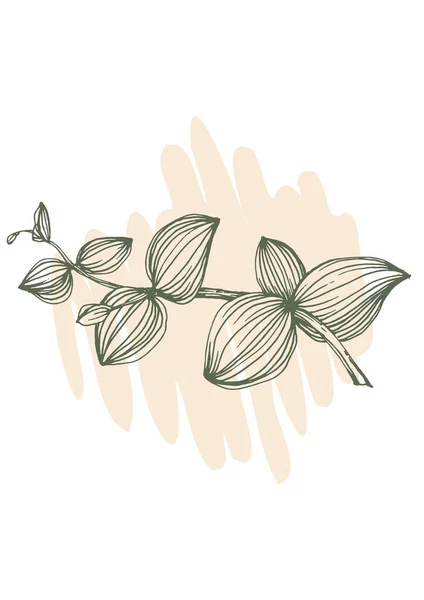Векторная Иллюстрация Ветви Растения — стоковый вектор