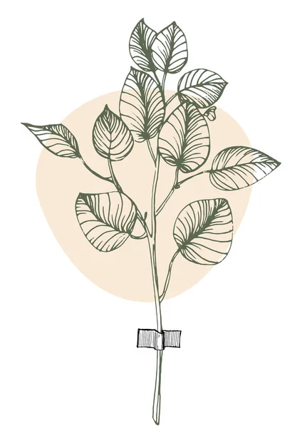 Vektorillustration Einer Pflanze Mit Einem Ast Eines Baumes — Stockvektor
