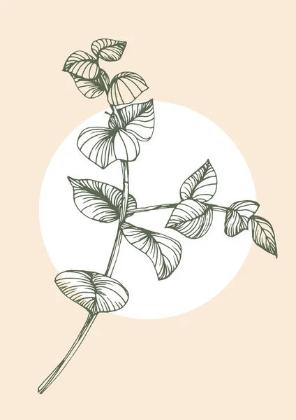 Ilustración Vectorial Una Rama Una Planta — Vector de stock