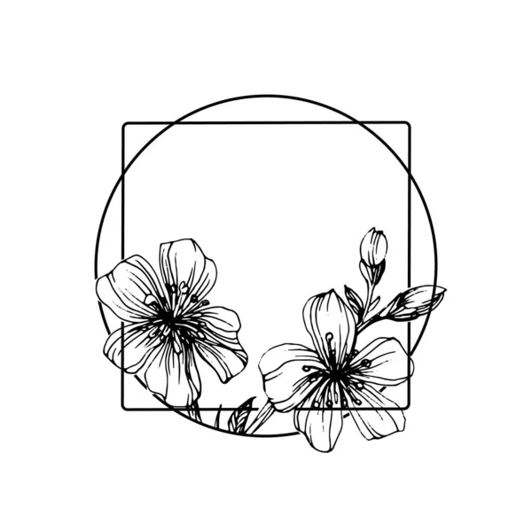 Dibujado Mano Sakura Logotipo Floral Marco Borde Elemento Promocional Plantilla — Archivo Imágenes Vectoriales
