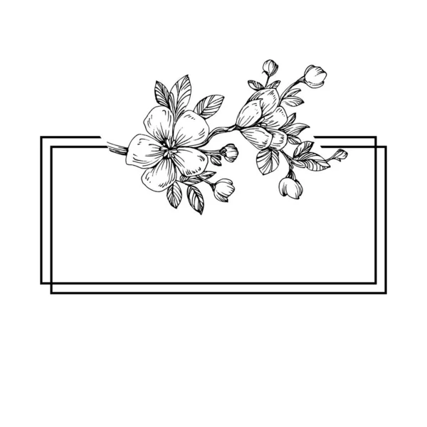 Dibujado Mano Sakura Logotipo Floral Marco Borde Elemento Promocional Plantilla — Vector de stock