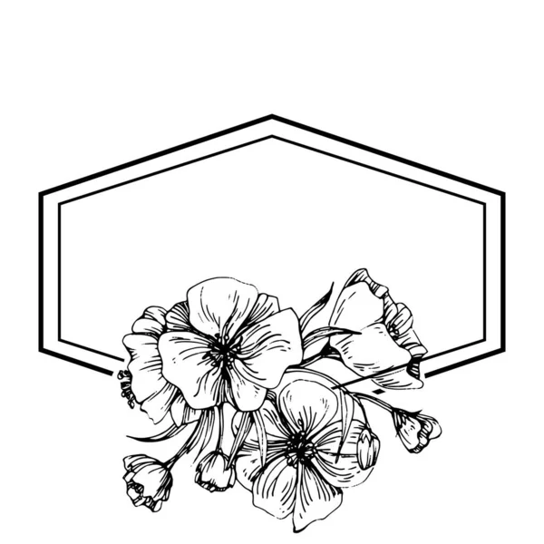 Logo Floral Sakura Dessiné Main Cadre Bordure Élément Promo Modèle — Image vectorielle