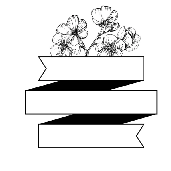 Logo Floral Sakura Dessiné Main Cadre Bordure Élément Promo Modèle — Image vectorielle