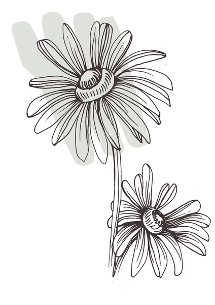 Moda renklerinde çağdaş sanat çiçekli posterler. Soyut el çiçekleri, geometrik elementleri ve vuruşları, yaprakları ve çiçekleri çizer. 