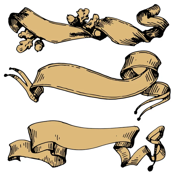 Vintage Ribbon Banner Рука Намальована Стилі Вінтажного Гравірування Ретро Ізольовано — стоковий вектор