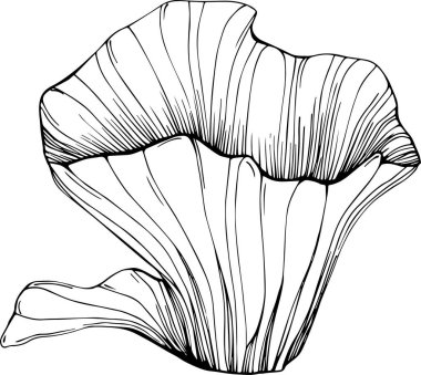 Deniz ürünleri menüsü için amblem ya da amblemin kabartma stili oymalı mercan vektörü. Denizcilik tasarım ögesi