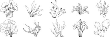 Deniz ürünleri menüsü için amblem ya da amblemin kabartma stili oymalı mercan vektörü. Denizcilik tasarım ögesi