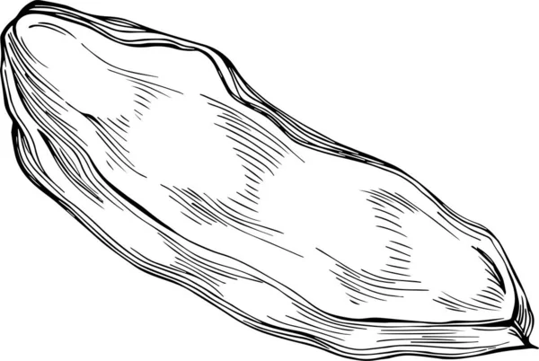 Peanut Hand Drawn Vector Illustration Isolated White Background Retro Style — Stok Vektör
