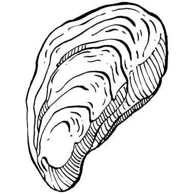 Deniz ürünleri menüsü için amblem ya da amblemin kabartma stili işlenmiş istiridye vektörü, öğle yemeği. Klasik Amerikan et lokantası ya da Fransız büfesi aperatifi..