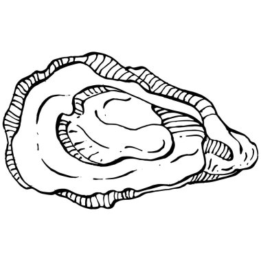 Deniz ürünleri menüsü için amblem ya da amblemin kabartma stili işlenmiş istiridye vektörü, öğle yemeği. Klasik Amerikan et lokantası ya da Fransız büfesi aperatifi..