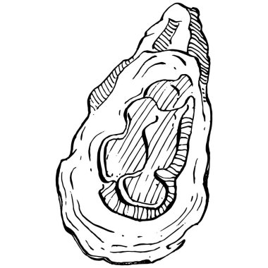 Deniz ürünleri menüsü için amblem ya da amblemin kabartma stili işlenmiş istiridye vektörü, öğle yemeği. Klasik Amerikan et lokantası ya da Fransız büfesi aperatifi..