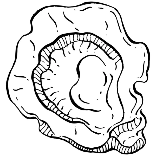 오이스터 벡터에는 해산물 디자인을 로고나 엠블렘을 조각하는 스타일의 삽화가 전형적 — 스톡 벡터