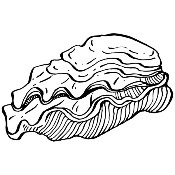 오이스터 벡터에는 해산물 디자인을 로고나 엠블렘을 조각하는 스타일의 삽화가 전형적 — 스톡 벡터