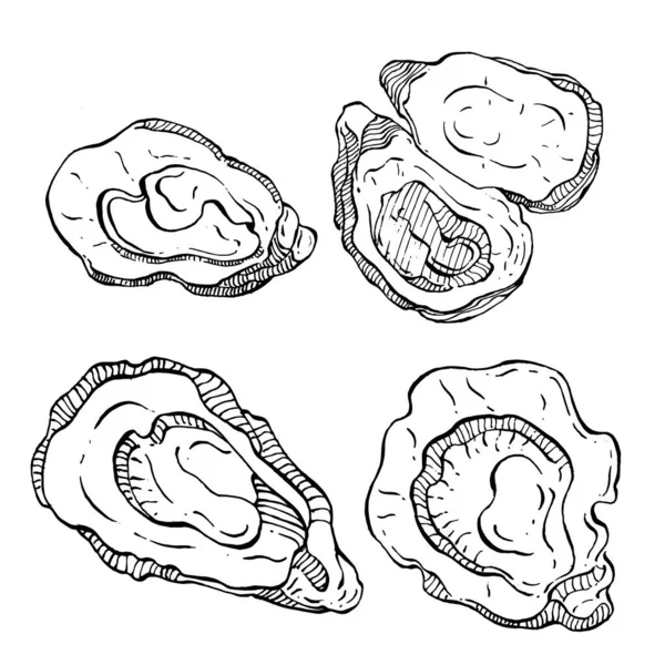 Вектор Устриц Гравировкой Стиль Иллюстрации Логотипа Эмблемы Дизайна Меню Морепродуктов — стоковый вектор