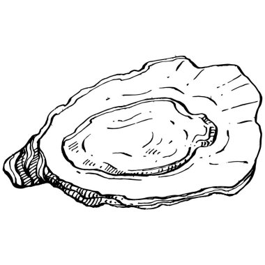 Deniz ürünleri menüsü için amblem ya da amblemin kabartma stili işlenmiş istiridye vektörü, öğle yemeği. Klasik Amerikan et lokantası ya da Fransız büfesi aperatifi..