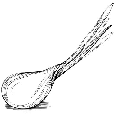 Yeşil soğan vektörü izole edildi.