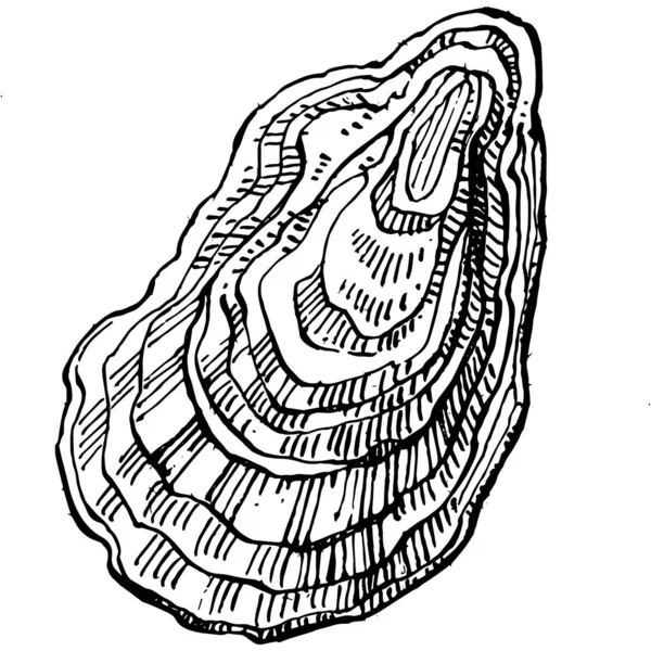 오이스터 벡터에는 해산물 디자인을 로고나 엠블렘을 조각하는 스타일의 삽화가 전형적 — 스톡 벡터