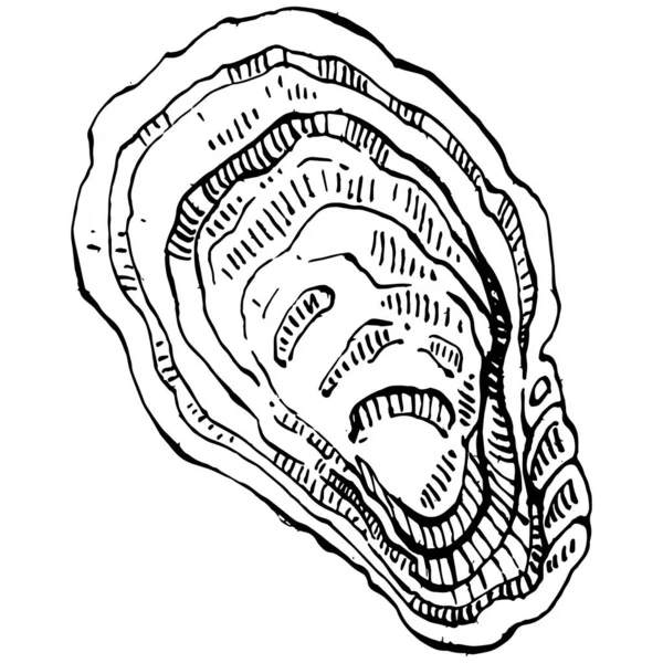 Osztriga Vektor Gravírozás Stílusú Illusztrációja Logó Vagy Embléma Design Tenger — Stock Vector