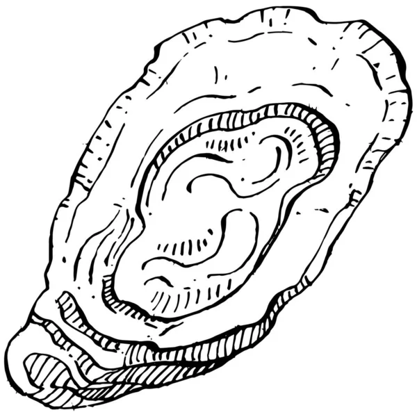 오이스터 벡터에는 해산물 디자인을 로고나 엠블렘을 조각하는 스타일의 삽화가 전형적 — 스톡 벡터
