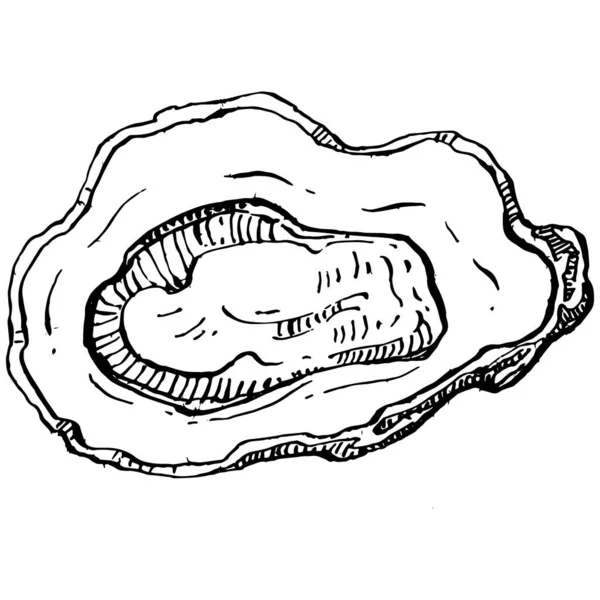 Oesters Vector Met Gravure Stijl Illustratie Van Logo Embleem Voor — Stockvector