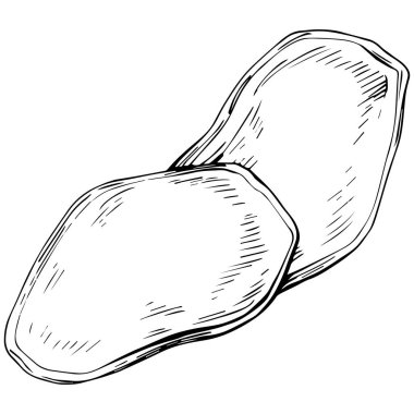 Yiyeceğin vektör çizimi ve sağlıklı ve sebze sembolü. Web için taze ve organik stok simgesi koleksiyonu.