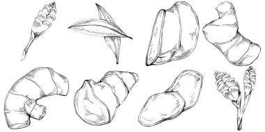 Elle çizilmiş yemek seti. vektör illüstrasyonu